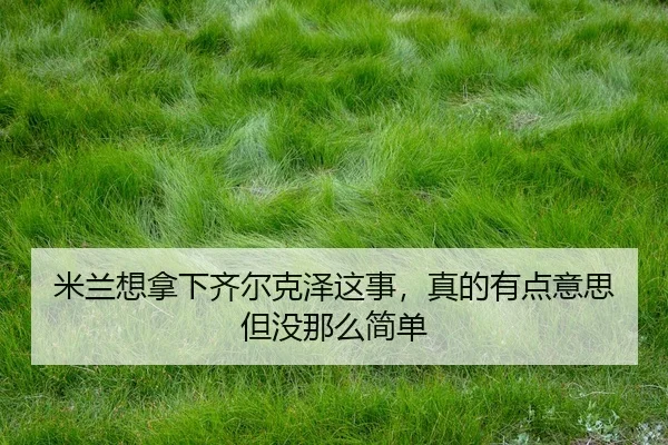 mi-lan-xiang-na-xia-qi-er-ke-ze-zhe-shi-zhen-de-you-dian-yi-si-dan-mei-na-me-jian-dan-2-102.jpg
